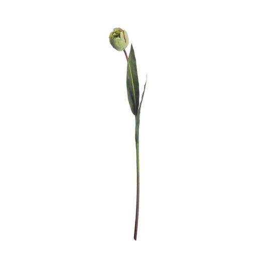 Tulip Stem in Green