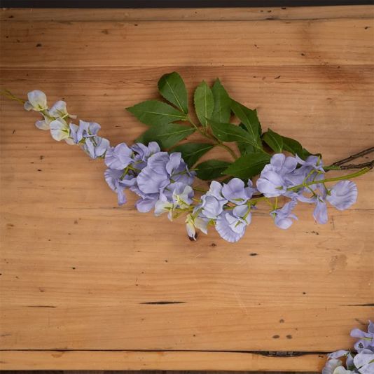 Wisteria Flower Stem in Lilac